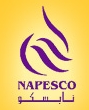 National Petroleum Services Company (NAPESCO) careers & jobs