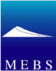 Middle East Business Solutions (MEBS) careers & jobs