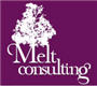 Melt Consulting careers & jobs