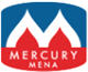 Mercury MENA careers & jobs