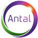 Antal International Network careers & jobs