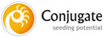 Conjugate Consultancy careers & jobs