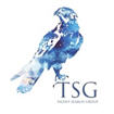 Talent Search Group (TSG) careers & jobs