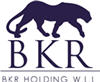 BKR Holding careers & jobs