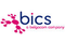 BICS careers & jobs