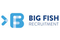 Big Fish Recruitment careers & jobs