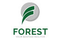 Forest Real Estate careers & jobs