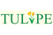 Tulipe Middle East General Trading careers & jobs