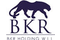BKR Holding careers & jobs